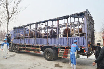 凯发k8天生赢家·一触即发,k8凯发(中国)天生赢家一触即发,k8凯发官网(中国)食品