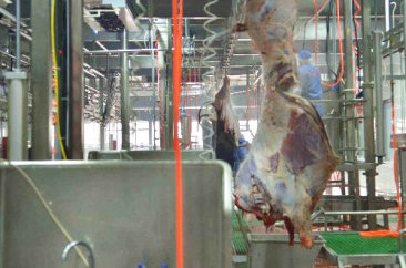 凯发k8天生赢家·一触即发,k8凯发(中国)天生赢家一触即发,k8凯发官网(中国)食品